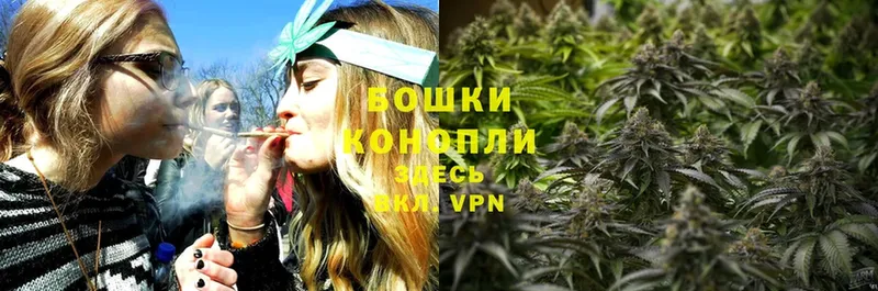 цены   Алзамай  Марихуана Ganja 